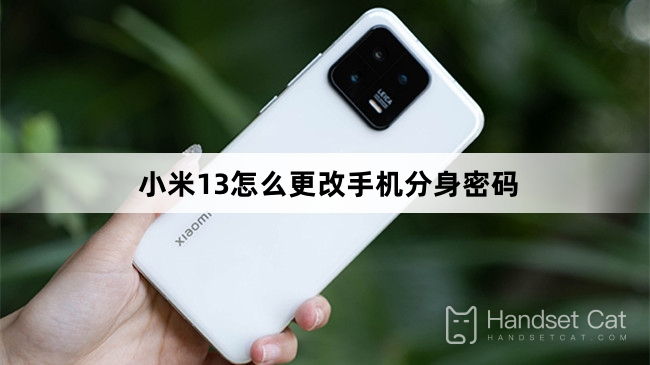 How to change the phone's avatar password for Xiaomi 13