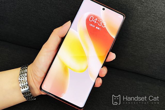 Cách cài hình nền đi bộ và hoa trên vivo X90 Pro+