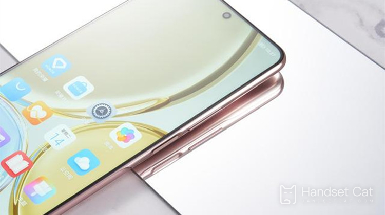 Le Honor X30 est-il doté d'une fonction beauté ?