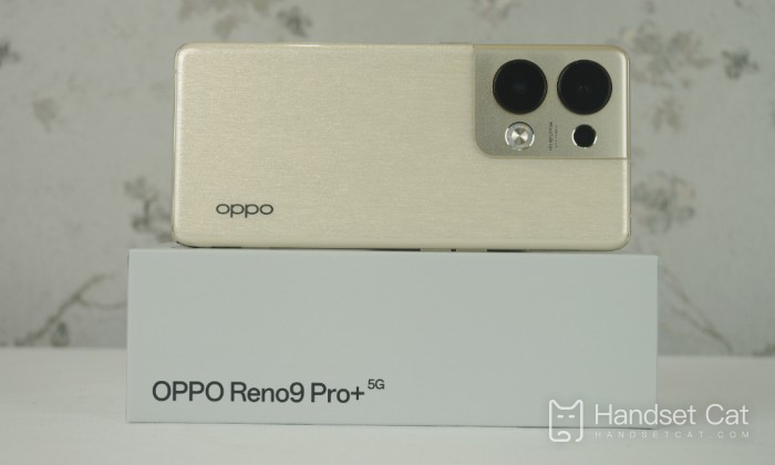 How does OPPO Reno9 Pro+brush subway with NFC