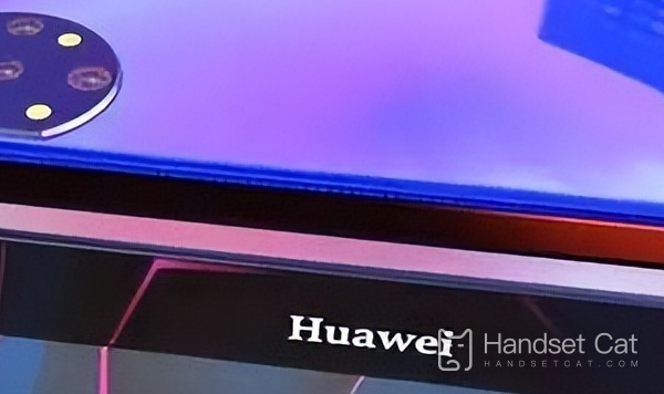 What screen is Huawei p60pro