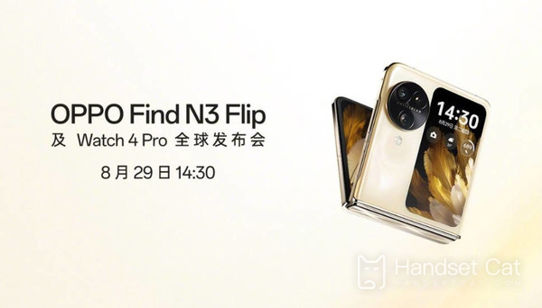 ¿Puede OPPO Find N3 Flip grabar vídeos 4K?