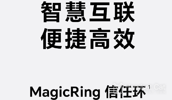 What Is the Failure of Updating MagicOS 7.0 Public Beta