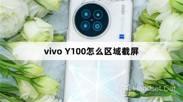 How to take a screenshot of a region on vivo Y100