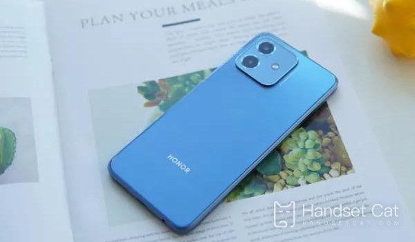 Есть ли в Honor Play6C распознавание лиц?