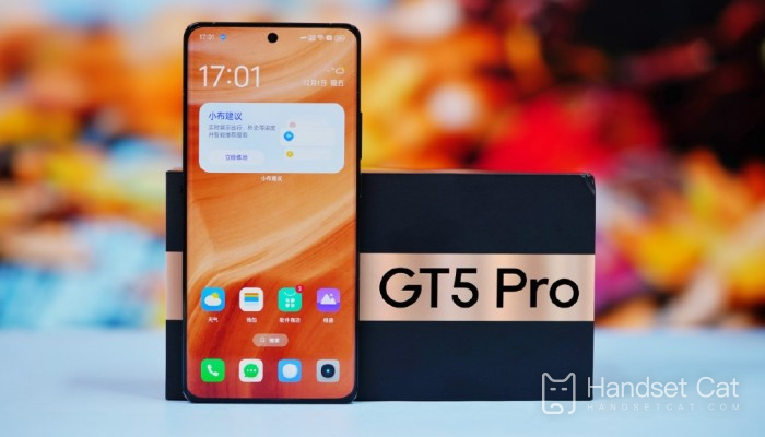 Parameter comparison between Realme GT6 and Realme GT5 Pro