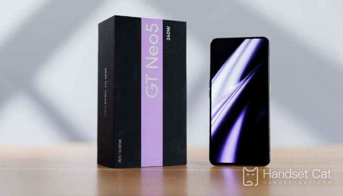 When can I buy the Realme GT Neo5 1T version