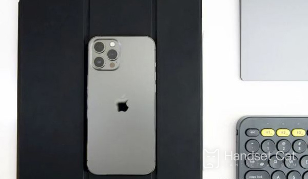 iPhone 12 Pro Max ローカル モデル クエリのチュートリアル