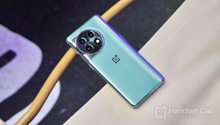 OnePlus 11 có màn hình trực tiếp không?