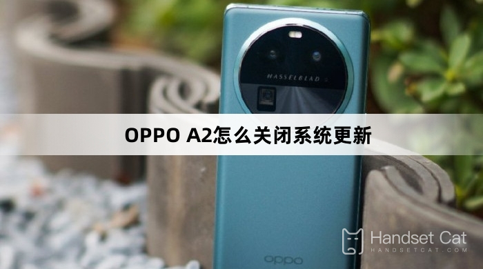 How to turn off system updates on OPPO A2