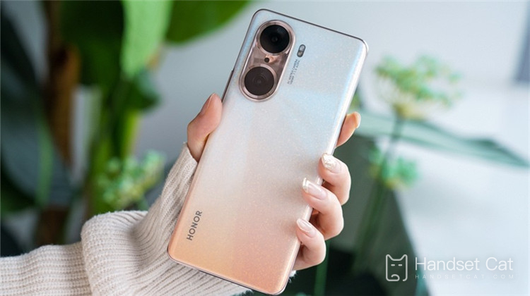 Có bao nhiêu pixel ở camera trước và sau của Honor 60 Pro?