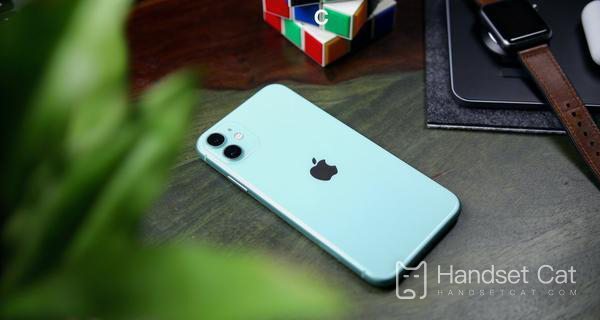 What are the promotional activities for purchasing iPhone 11 on the Double Twelfth