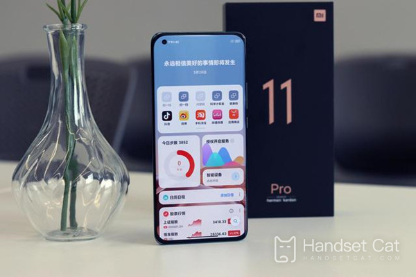 How does Xiaomi 11 Pro switch to 4G network?