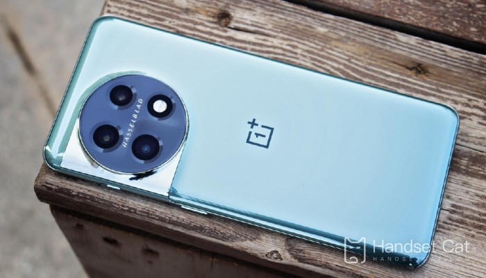 O OnePlus Ace 2 possui lente telefoto?