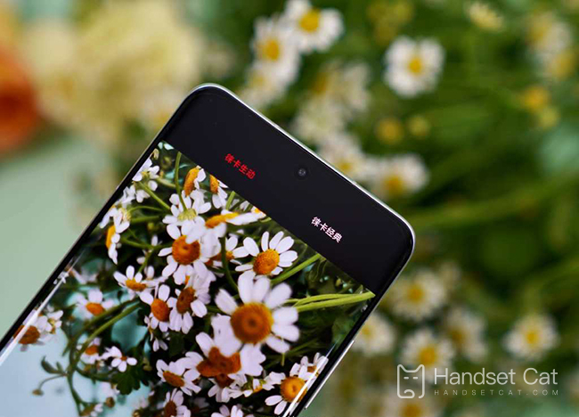 Was ist Xiaomi Mi 13 Technology Nano Skin?