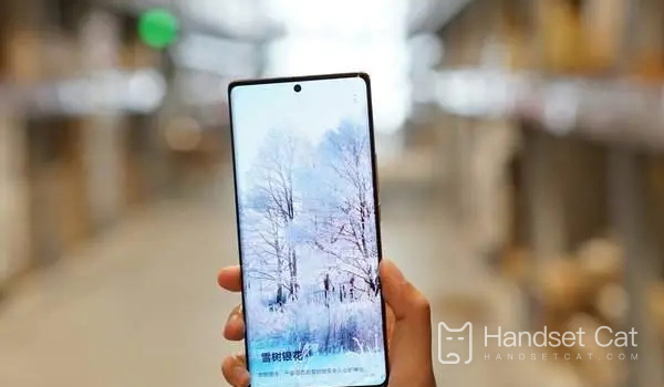 Цены на замену аккумулятора Honor 60