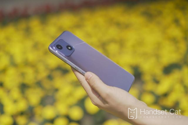 Honor Play 30 a-t-il une fonction de reconnaissance faciale ?