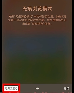Cómo desactivar la navegación privada en el navegador safari del iPhone 13 Pro Max