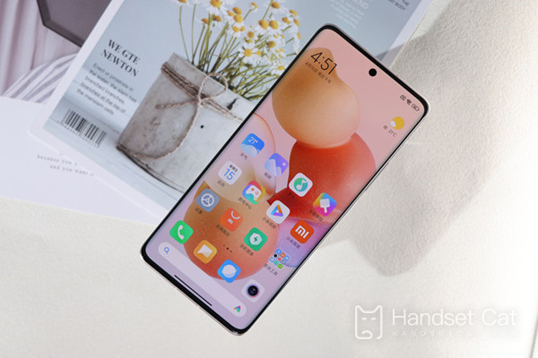 Can Xiaomi Civi 1S have double cards and double stays