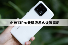 Xiaomi Mi 13 Pro Dimensity Edition에서 진동을 설정하는 방법
