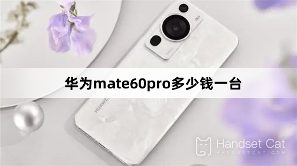 Quanto custa o Huawei mate60pro?