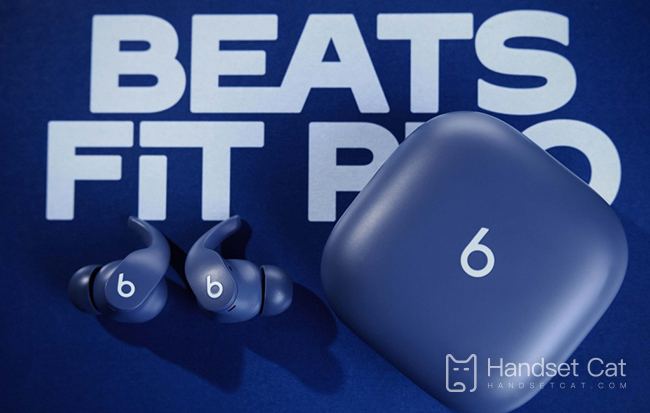 Do Beats Fit Pro have ear testing