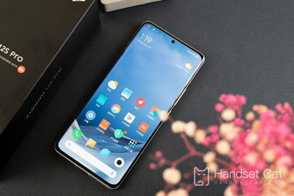Xiaomi 12S Pro View Phone Model Tutorial