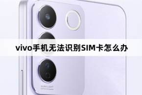 Lösung für das Problem, dass das vivo-Telefon die SIM-Karte nicht erkennt