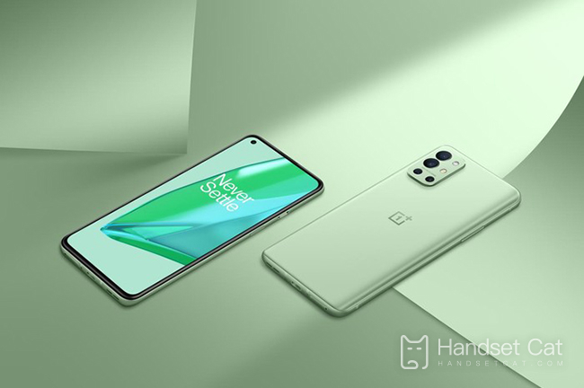 OnePlus 9R과 OnePlus 9의 차이점은 무엇입니까?