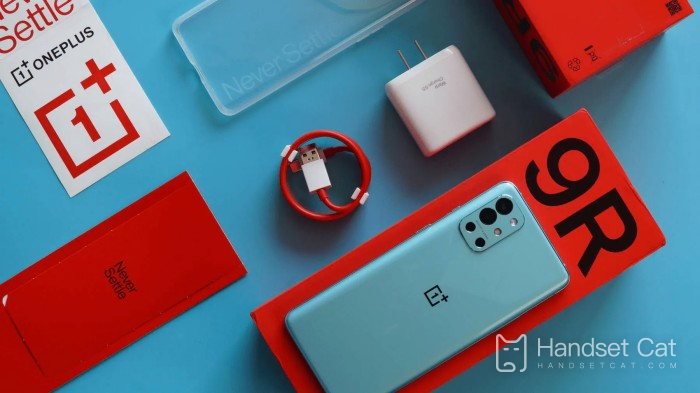 Kann OnePlus 9R auf die offizielle Version von ColorOS 13 aktualisiert werden?