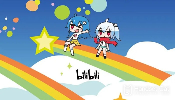 How to cancel the automatic renewal of Bilibili membership