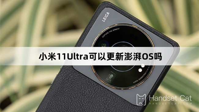 Может ли Xiaomi Mi 11 Ultra обновить ThePaper OS?