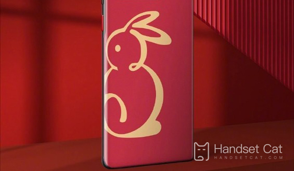 Price Introduction of Nubia Z50 China Red Rabbit Year Limited Edition