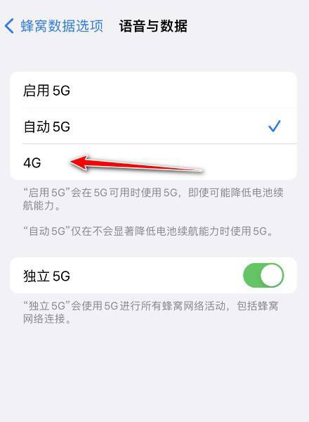 iPhone 13 Proを4Gに切り替える方法