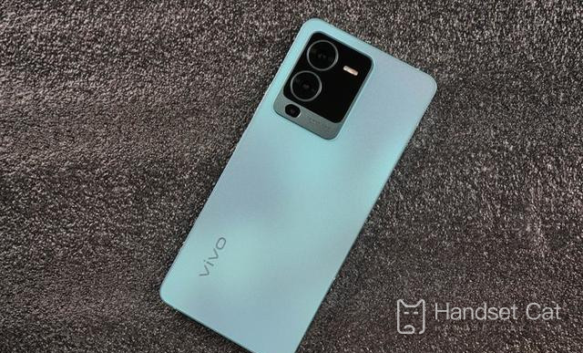 Vivo S15 What to do if I forget the lock screen password