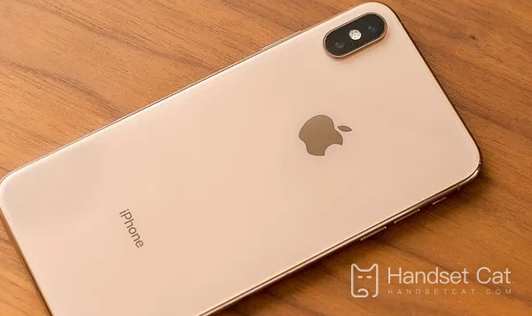 Do you want to upgrade iPhone XS Max to iOS 16.0.2