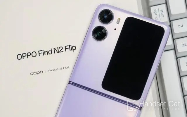 How does OPPO Find N2 Flip view memory usage