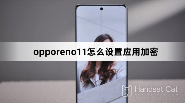How to set up application encryption in opporeno11