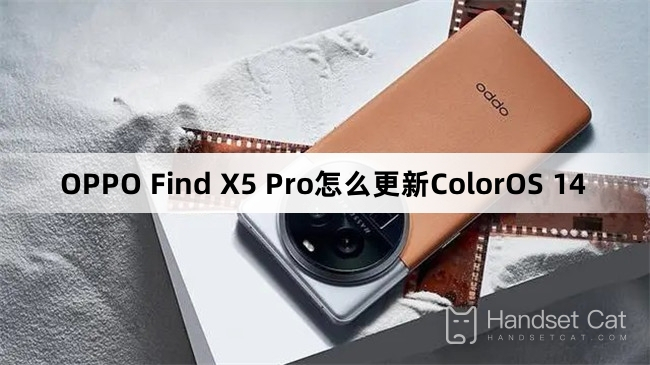 OPPO Find X5 Pro를 ColorOS 14로 업데이트하는 방법