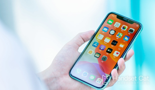 Tutorial zur Bild-in-Bild-Aktivierung für das iPhone 11