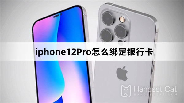 बैंक कार्ड को iPhone12Pro से कैसे बाइंड करें