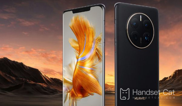 Tôi nên làm gì nếu Huawei mate50RS Porsche của tôi đột nhiên ngắt kết nối Internet?