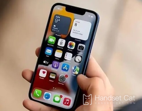 iphone14plus의 무게를 측정할 수 있나요?