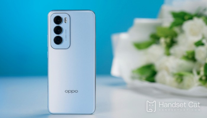 Does OPPO Reno 12 support AI elimination function?