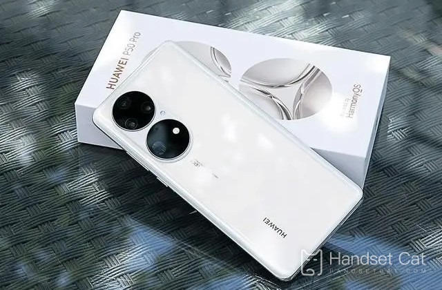 Quels sont les inconvénients du Huawei P50E ?