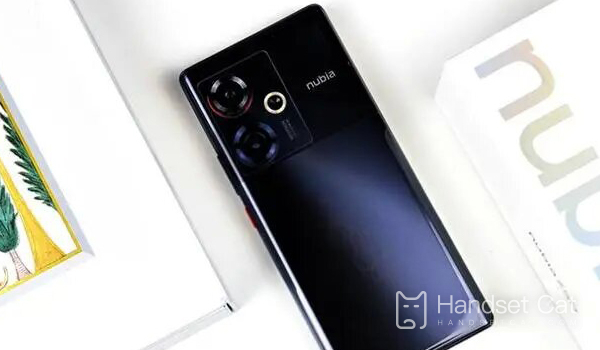 Does Nubia Z50 have double card and double waiting