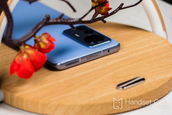 Kann die Xiaomi 12 Pro Dimensity Edition Dual-SIM-Karten und Dual-Standby unterstützen?