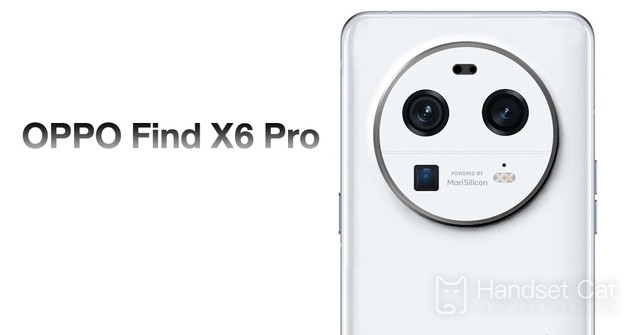 Mobiltelefone der OPPO Find X6-Serie sind offiziell im Internet erhältlich und werden voraussichtlich im Februar erscheinen