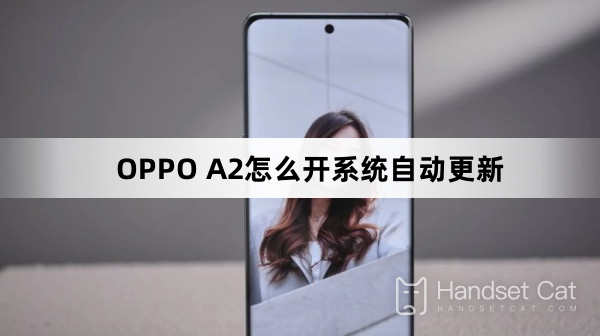 OPPO A2怎麼開系統自動更新