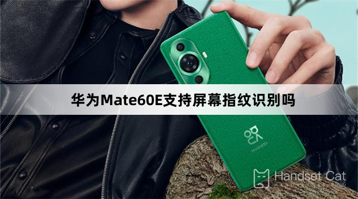Does Huawei Mate60E support screen fingerprint recognition?